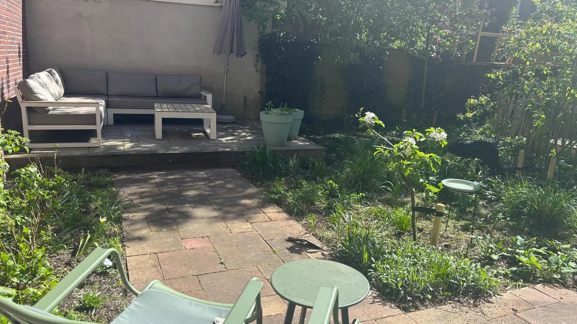 Spacious Apartment With Garden In City Centre Amsterdam